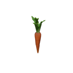 Carrot
